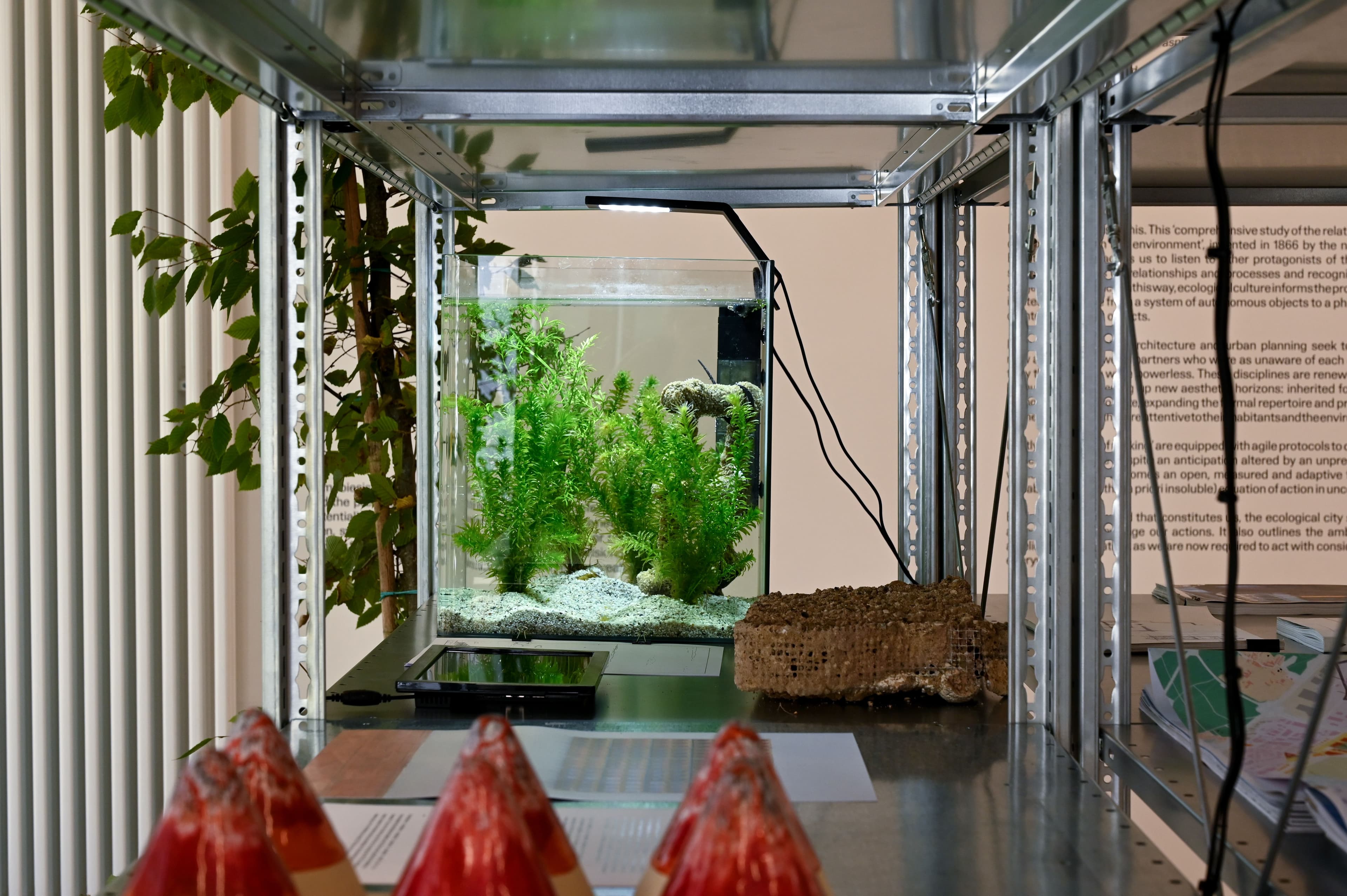 Sympoiesis, arts of practice in the ecological city-7